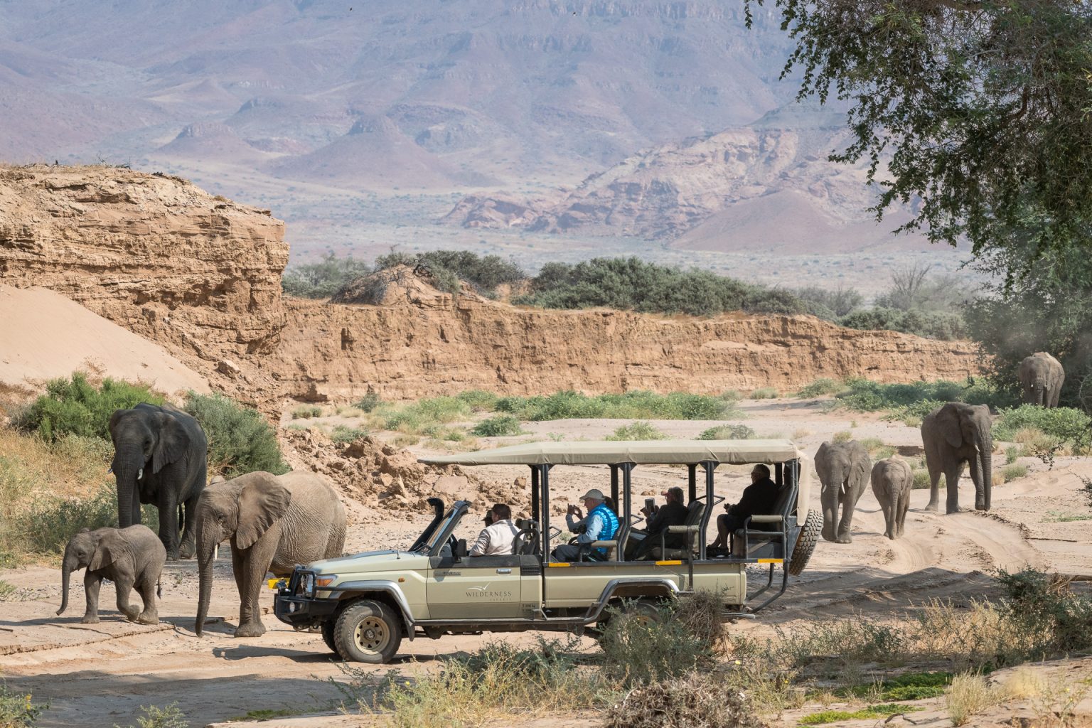 Enchanting Namibian Safari Tour - Travel Experience